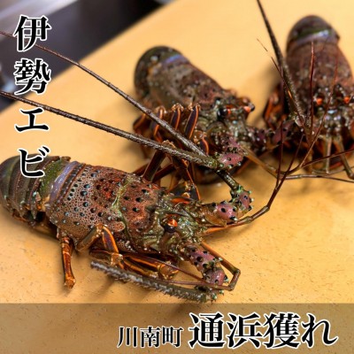 image8.jpeg