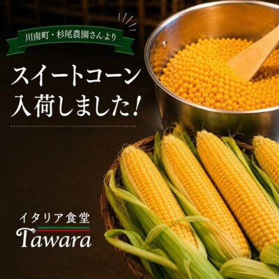 image0_2.jpeg
