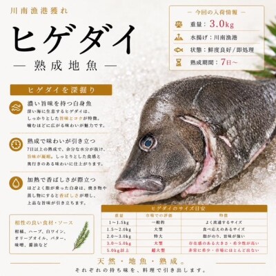 image1_3.jpeg