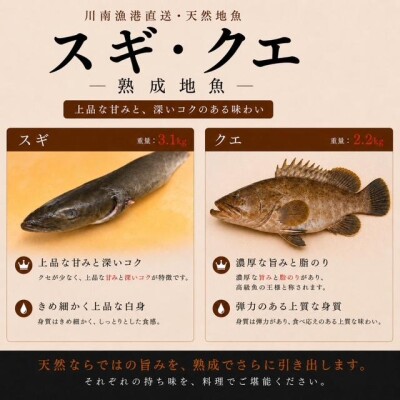 image5.jpeg