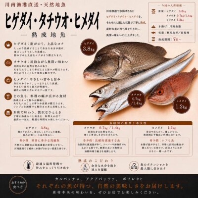 image6.jpeg