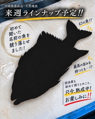 image0_6.jpeg