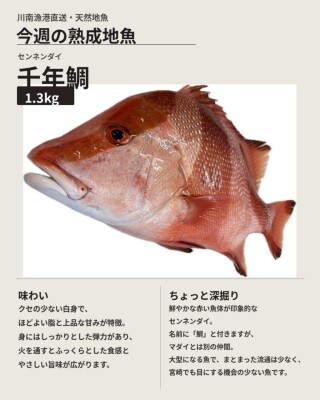 image0_7.jpeg