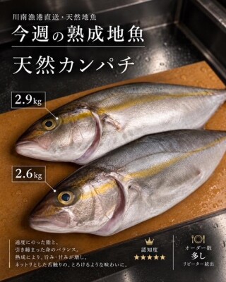image2_4.jpeg