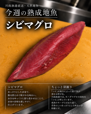 image5.png